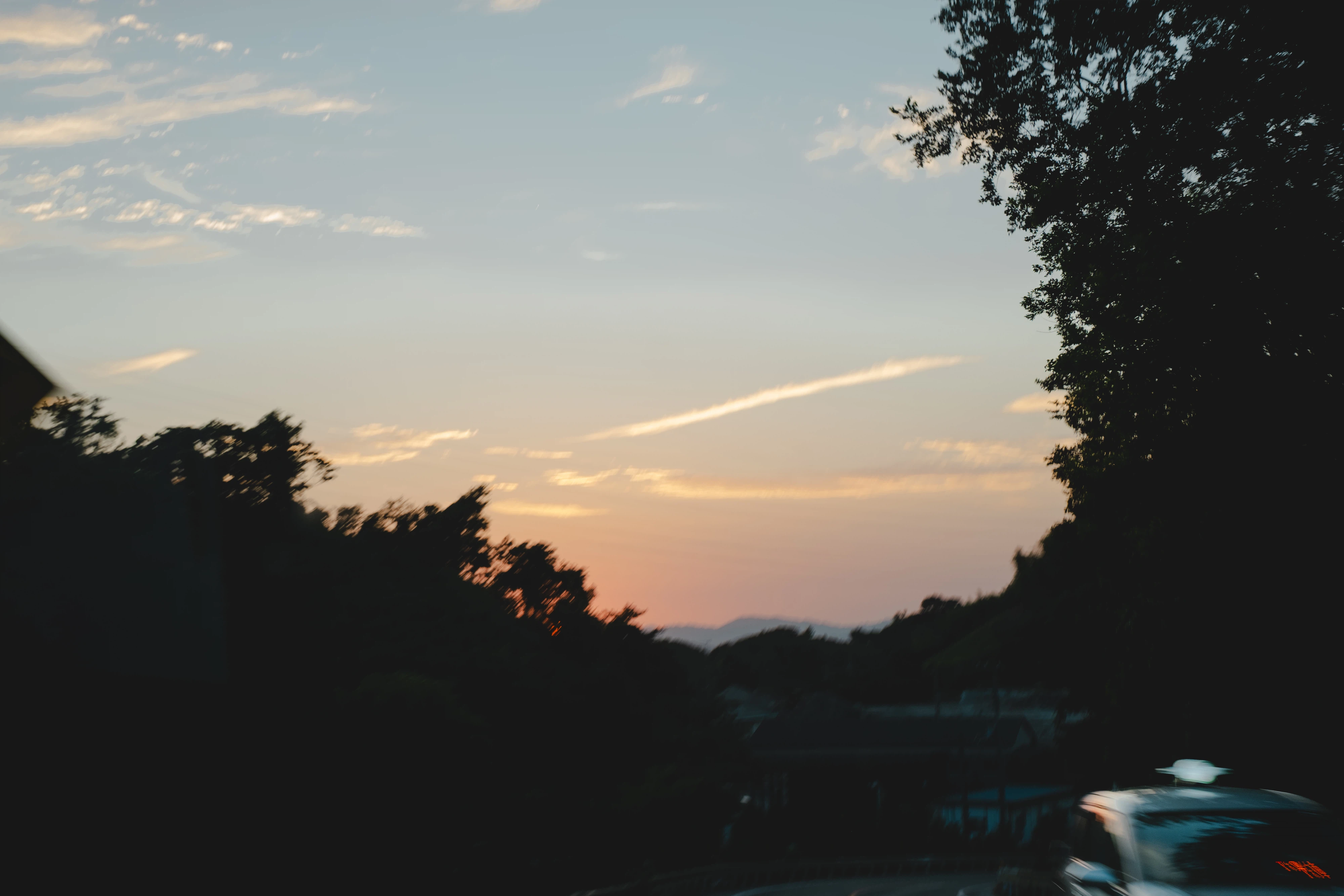 まだ間に合うかも、、
木々に隠れた夕陽に期待を馳せて。