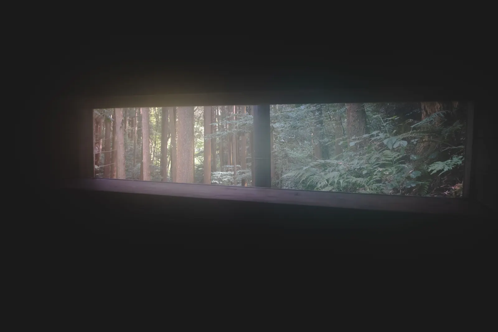 自然と目が合う。
