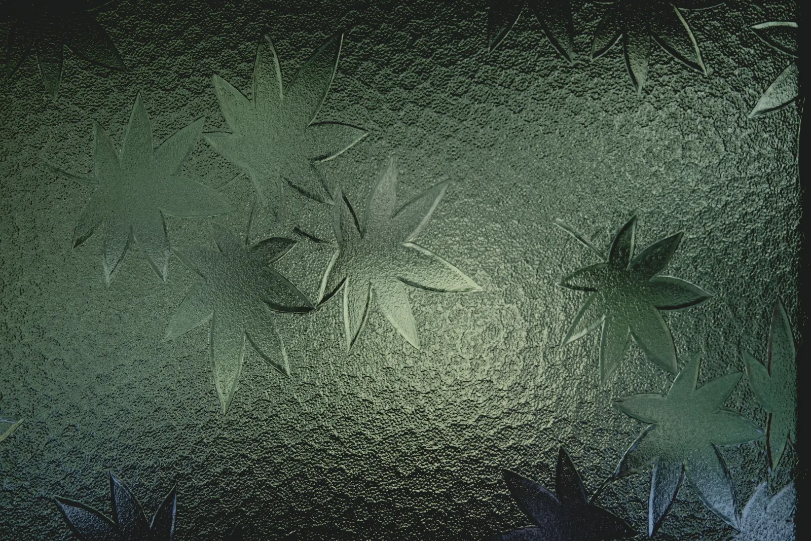 徳島旅の写真