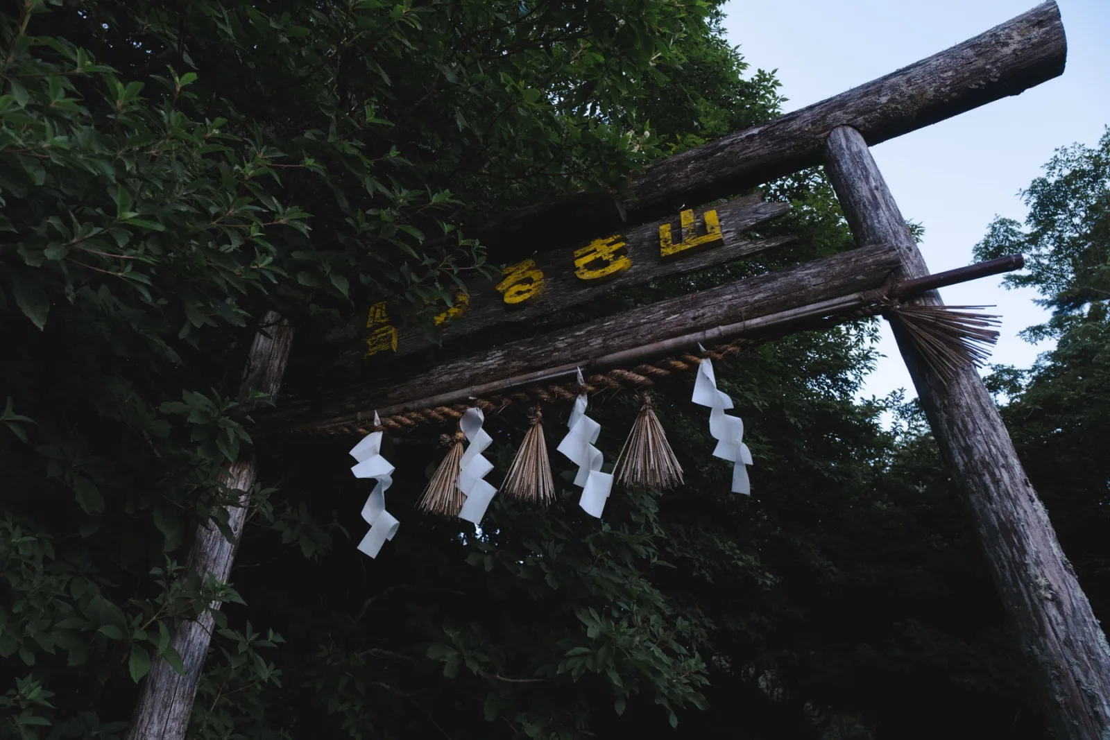 まだリフト降り場にも辿り着いていないけど 頑張ったからこそ見れる登山道の鳥居