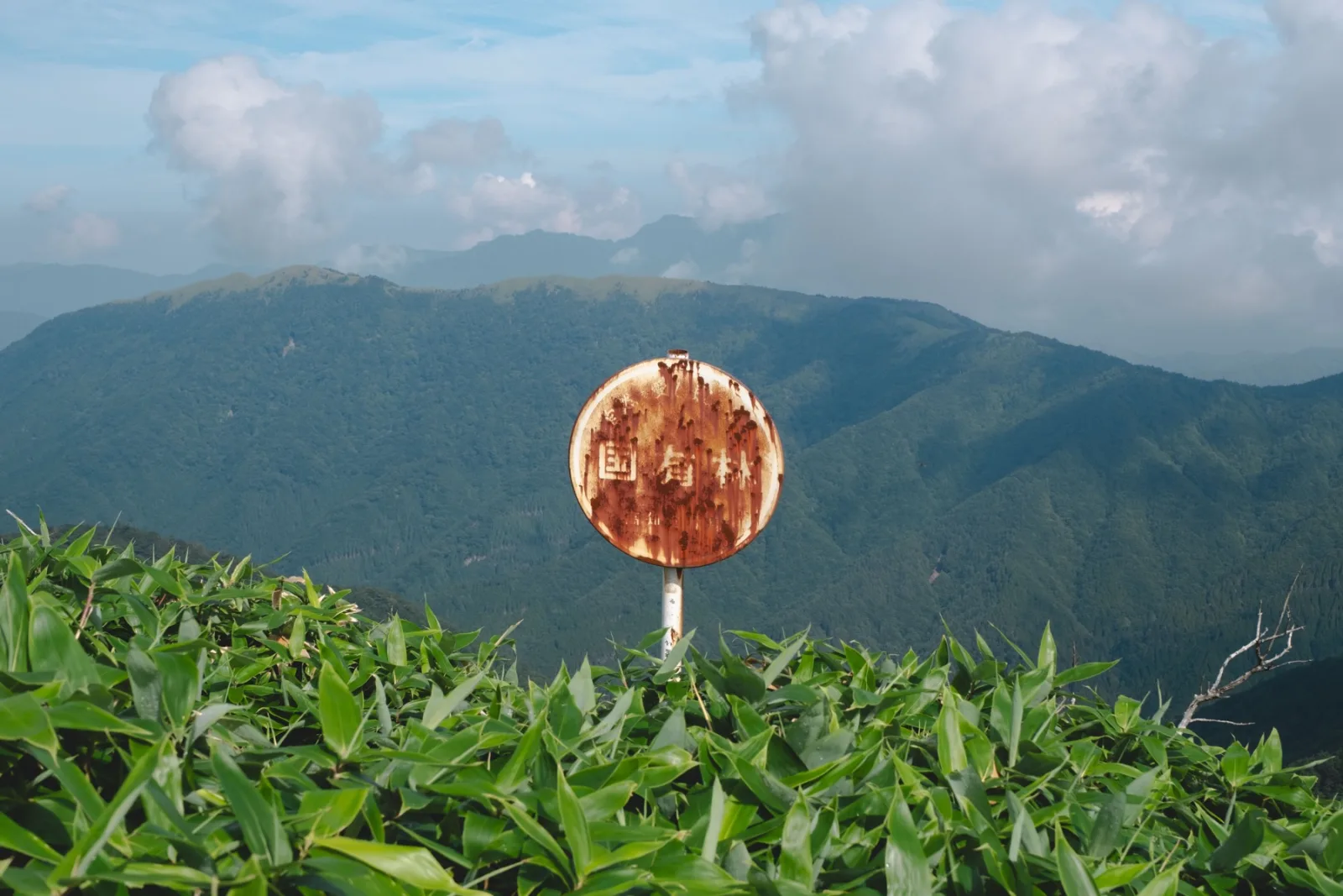 剣山・次郎笈の登山記録