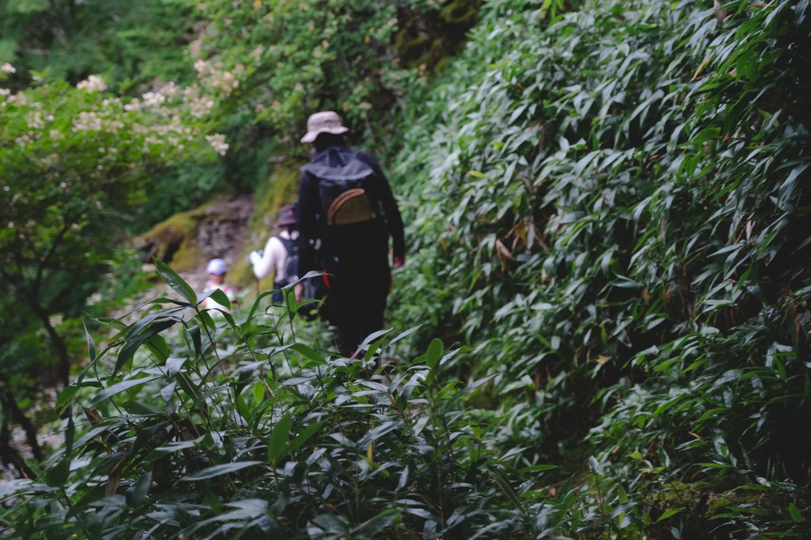 剣山・次郎笈の登山記録